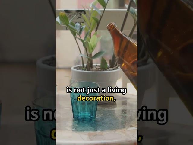 Barstool Botanist: Unearthing Passions